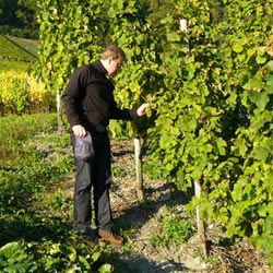 山東泰安東岳泰山衡器有限公司